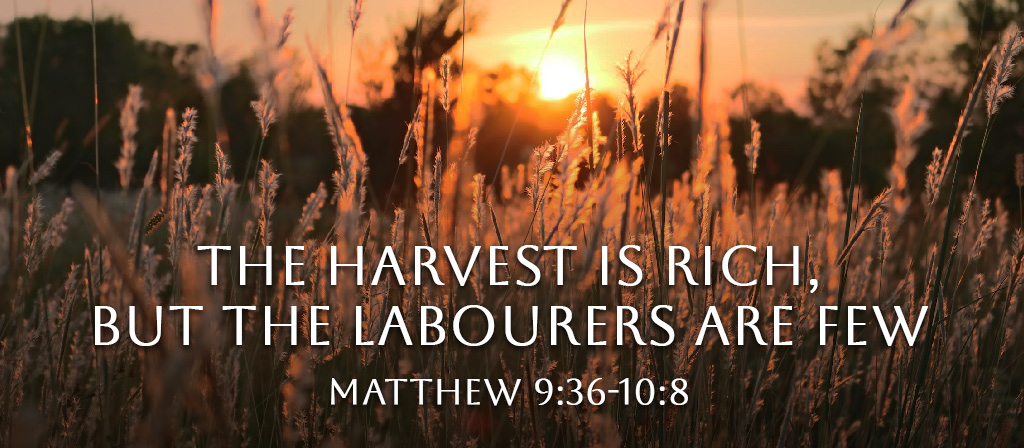 Eleventh Sunday in Ordinary Time