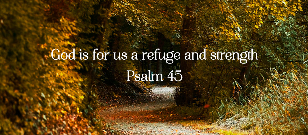 Feast of the Lateran Basilica