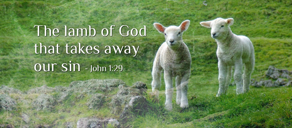 Second Sunday of Ordinary Time