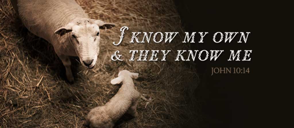Fourth Sunday of Easter