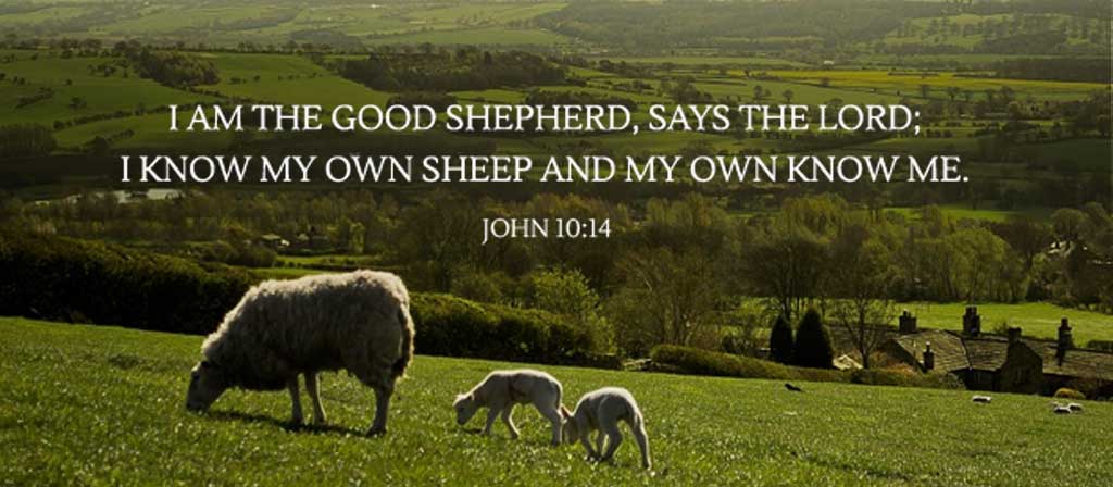 Fourth Sunday of Easter