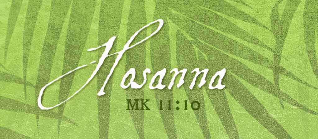 Palm Sunday of The Passion of The Lord