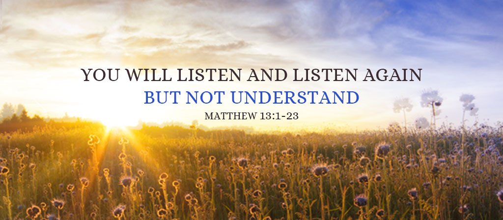 Fifteenth Sunday of Ordinary Time