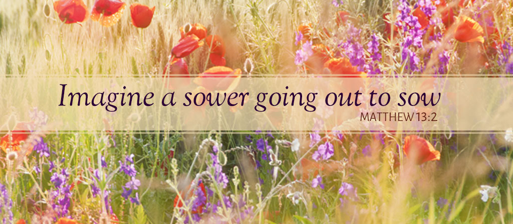 Fifteenth Sunday of Ordinary Time