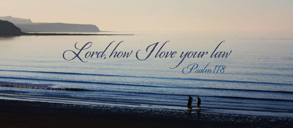 Seventeenth Sunday in Ordinary Time