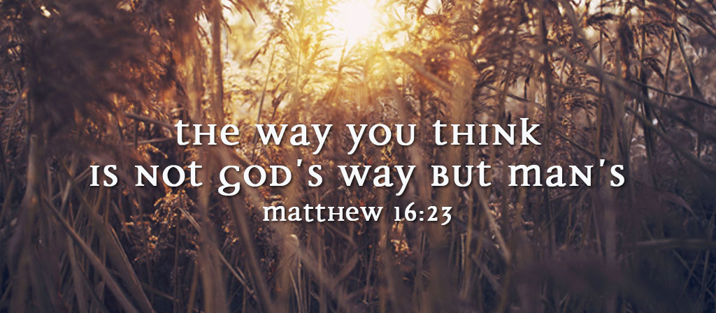 Twenty Second Sunday of Ordinary Time