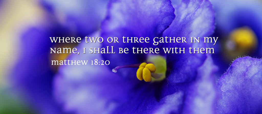 Twenty Third Sunday in Ordinary Time