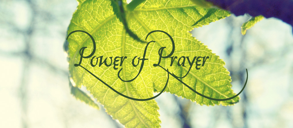 Twenty Third  Sunday of Ordinary Time