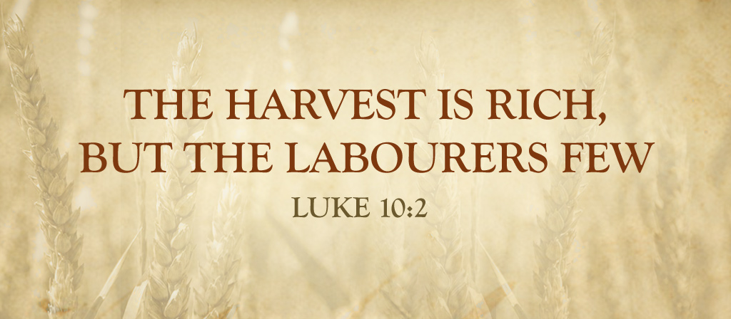 Fourteenth Sunday of Ordinary Time