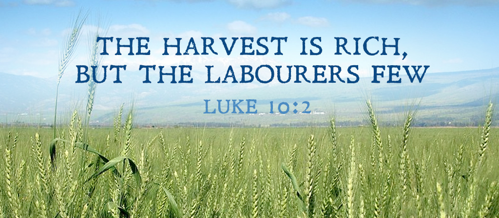 Fourteenth Sunday of Ordinary Time