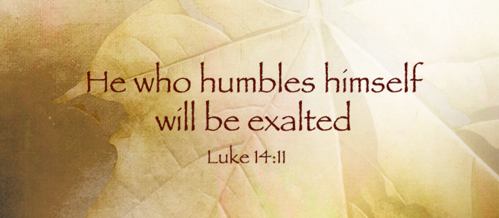Twenty Second Sunday of Ordinary Time