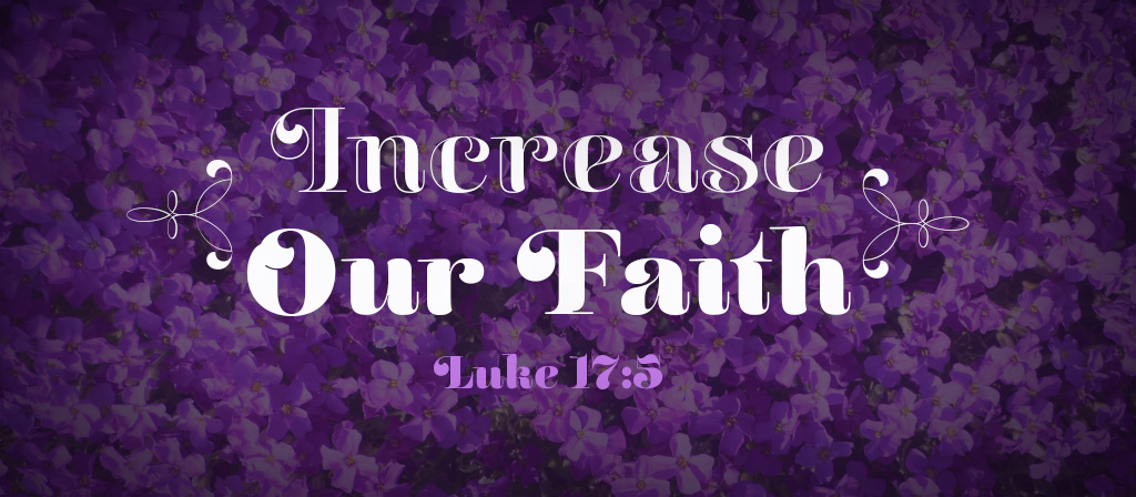 Twenty Seventh Sunday of Ordinary Time